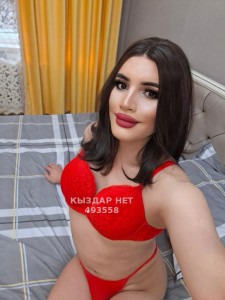 Транс Алматы Транс№493558 Асу Фотография №3720404