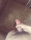 Фотография №3766570